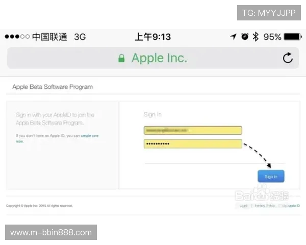 BBIN注册中心最新版本更新内容及升级步骤详细说明