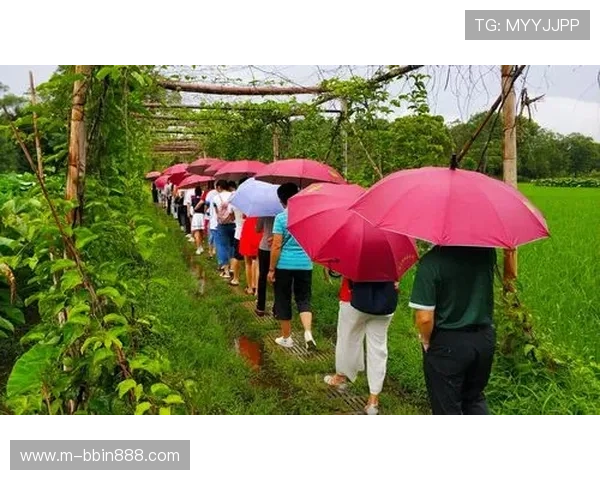 od真人会员登录入口，轻松开启尊享娱乐新体验
